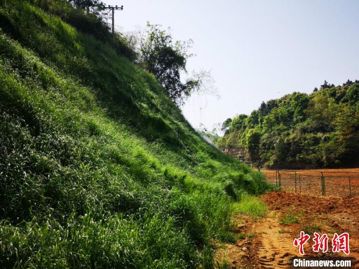 说明: http://i2.chinanews.com/simg/ypt/2020/200421/116735500_zsite.jpg
