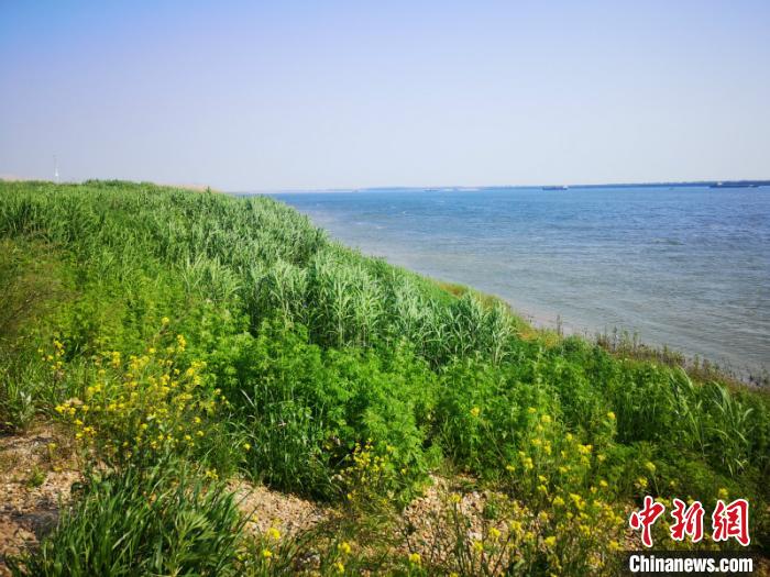 说明: http://i2.chinanews.com/simg/ypt/2020/200421/116735530_zsite.jpg